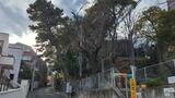 馬込文士村資料展示室