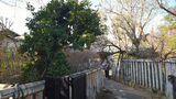 龍子記念館・龍子公園
