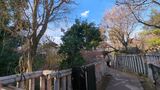 龍子記念館・龍子公園