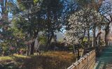 蘇峰公園・山王草堂記念館