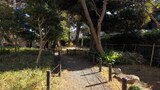 蘇峰公園・山王草堂記念館