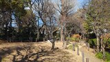 蘇峰公園・山王草堂記念館