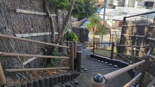 PHOTO 馬込自然林緑地#1