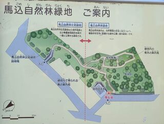 PHOTO 馬込自然林緑地#2
