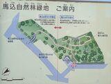 馬込自然林緑地