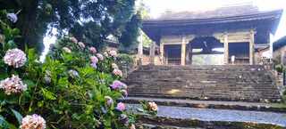 PHOTO 金山出石寺#2