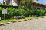元興寺