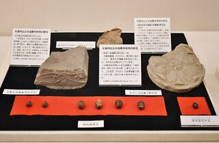 PHOTO 斑鳩文化財センター#2