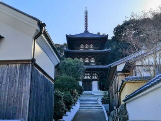 PHOTO 當麻寺#3