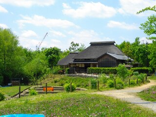 PHOTO 赤羽自然観察公園#1
