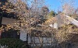 西方寺