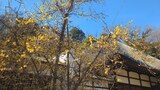 西方寺