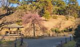 大倉山公園