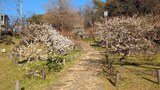 大倉山公園