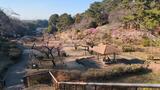 大倉山公園