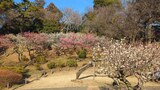 大倉山公園