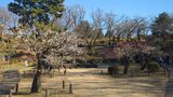 大倉山公園