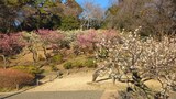 大倉山公園