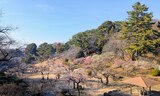 大倉山公園