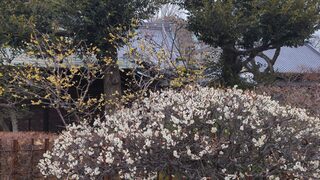 PHOTO 静勝寺・稲付城跡#2