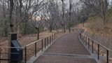 赤羽自然観察公園