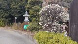 赤羽八幡神社