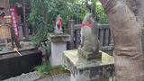 陽運寺(於岩稲荷)