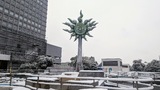 そごう横浜・太陽の広場