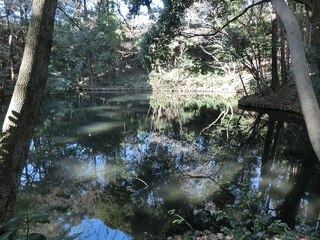 PHOTO 滄浪泉園#2