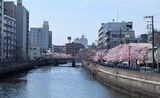 大岡川プロムナード