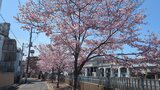 大岡川プロムナード