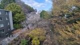 音無親水公園