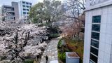 音無親水公園