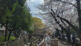 音無親水公園