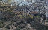 音無親水公園