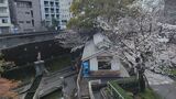 音無親水公園