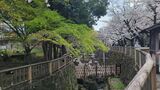 音無親水公園