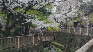 PHOTO 音無親水公園#2