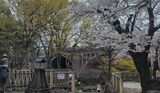 音無親水公園