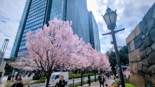 PHOTO 牛込見附跡#4