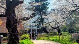 外濠公園