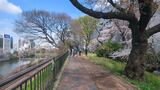 外濠公園