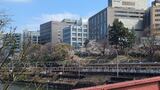 外濠公園