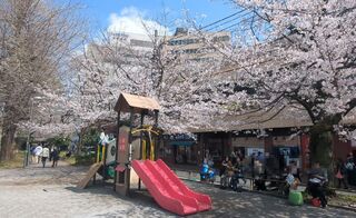 PHOTO 外濠公園#2