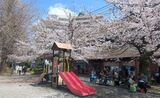 外濠公園