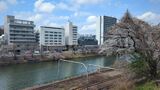 外濠公園