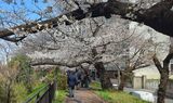外濠公園