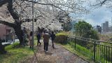 外濠公園