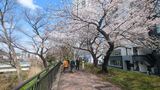 外濠公園