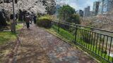 外濠公園